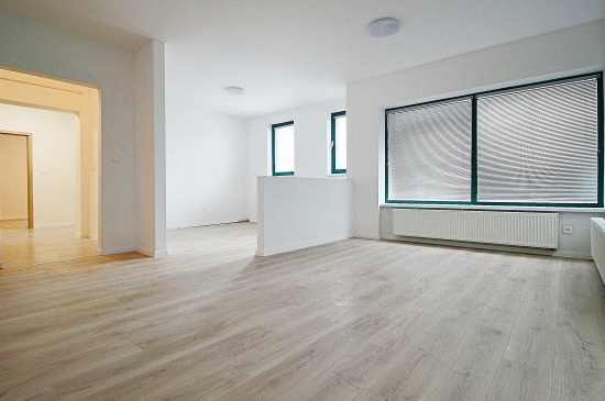 Predaj, dvojizbový byt Dunajská Streda, garáž a nebytový priestor (spolu 106 m2)