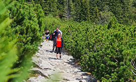 Recenzie, realitná kancelária HALO reality - Vysoké Tatry pre najlepších 2022
