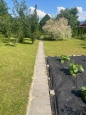 HALO reality | Predaj, záhradný pozemok   383m2 Nováky, s chatkou - EXKLUZÍVNE HALO REALITY