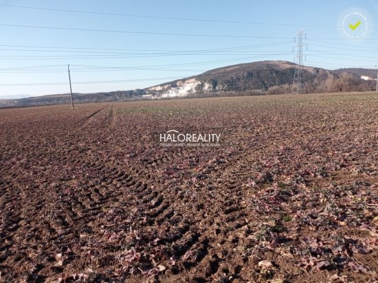 Predaj, pozemok pre rodinný dom   1500m2 Oslany - IBA U NÁS