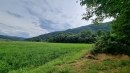 HALO reality | Predaj, pozemok pre rodinný dom   1278 m2 Voznica - ZNÍŽENÁ CENA