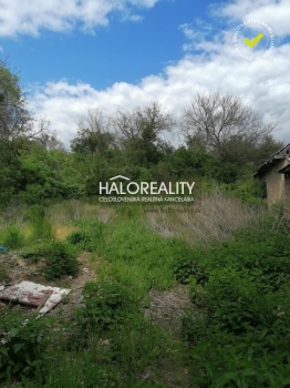 Predaj, rodinný dom Bušince, časť Zombor - ZNÍŽENÁ CENA - EXKLUZÍVNE HALO REALITY