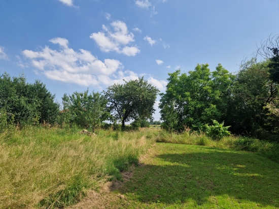 Predaj, pozemok pre rodinný dom   1513 m2 Veľká Ves, Krásny rovinatý pozemok - ZNÍŽENÁ CENA