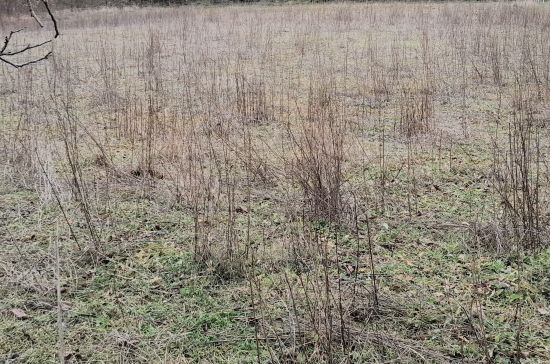 Predaj, chata Moravany nad Váhom, lokalita Striebornica - VO VÝSTAVBE