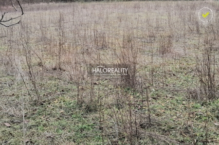 Predaj, chata Moravany nad Váhom, lokalita Striebornica - VO VÝSTAVBE