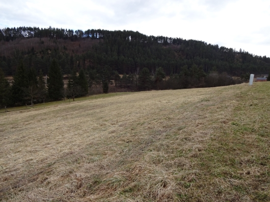 Predaj, pozemok pre rodinný dom   1000 m2 Vítkovce - IBA U NÁS