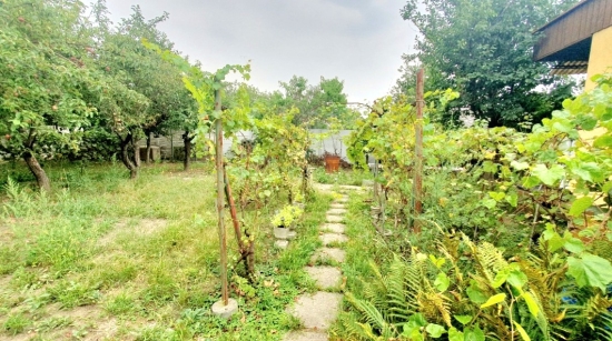 Predaj, záhradný pozemok   387 m2 Bratislava Podunajské Biskupice, s chatkou vhodnou na bývanie