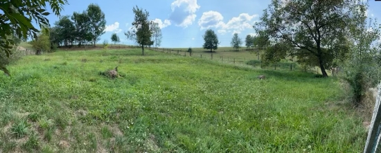 Predaj, pozemok pre rodinný dom   1158 m2 Hriňová, Krivec - ZNÍŽENÁ CENA - EXKLUZÍVNE HALO REALITY