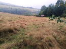 HALO reality | Predaj, pozemok pre rodinný dom   4217 m2 Gelnica, Slovenské Cechy - Nad Krížovou - EXKLUZÍVNE HALO REALITY