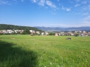 HALO reality | REZERVOVANÉ - Predaj, pozemok pre rodinný dom   2255 m2 Hliník nad Hronom - EXKLUZÍVNE HALO REALITY