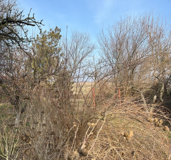 Predaj, pozemok pre rodinný dom   1205 m2 Jatov