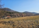 HALO reality | REZERVOVANÉ - Predaj, pozemok pre rodinný dom   1103 m2 Podbranč - EXKLUZÍVNE HALO REALITY