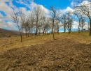 HALO reality | REZERVOVANÉ - Predaj, pozemok pre rodinný dom   1103 m2 Podbranč - EXKLUZÍVNE HALO REALITY