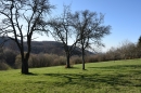 HALO reality | Predaj, pozemok pre rodinný dom   5580 m2 Nová Baňa, Bukovina - EXKLUZÍVNE HALO REALITY