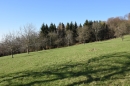 HALO reality | Predaj, pozemok pre rodinný dom   5580 m2 Nová Baňa, Bukovina - EXKLUZÍVNE HALO REALITY
