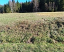 HALO reality | Predaj, rekreačný pozemok Nálepkovo, Zahájnicka cesta - EXKLUZÍVNE HALO REALITY