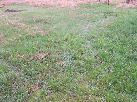 Predaj, pozemok pre rodinný dom   676 m2 Cífer