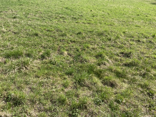 Predaj, pozemok pre rodinný dom   767 m2 Okružná, pri Prešove