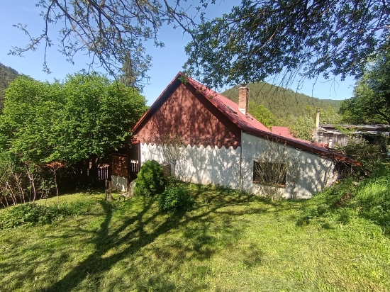 Predaj, rodinný dom Brezová pod Bradlom - EXKLUZÍVNE HALO REALITY