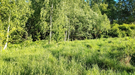 Predaj, pozemok pre rodinný dom   1882 m2 Detva - EXKLUZÍVNE HALO REALITY