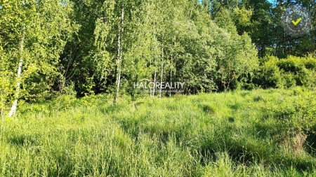 Predaj, pozemok pre rodinný dom   1882 m2 Detva - EXKLUZÍVNE HALO REALITY