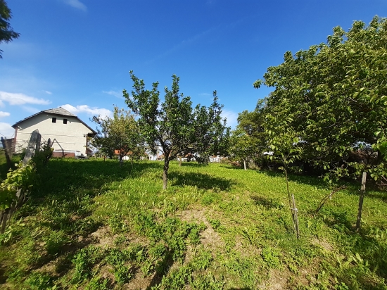 Predaj, pozemok   846 m2 Širákov,  v intraviláne s hospodárskou budovou - EXKLUZÍVNE HALO REALITY