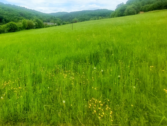 Predaj, pozemok pre rodinný dom   2419 m2 Nimnica