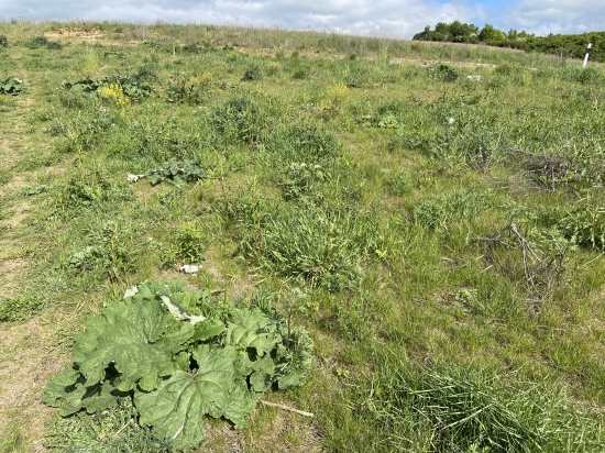 Predaj, pozemok pre rodinný dom   704 m2 Prešov, s panoramatickým výhľadom