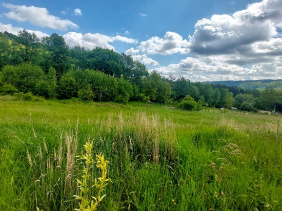 Predaj, pozemok pre rodinný dom 3600 m2 Považská Bystrica, Orlové