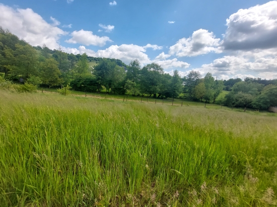 Predaj, pozemok pre rodinný dom 3600 m2 Považská Bystrica, Orlové