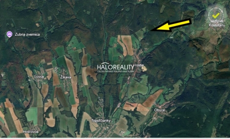 Predaj, záhradný pozemok   3981 m2 Hostie - EXKLUZÍVNE HALO REALITY