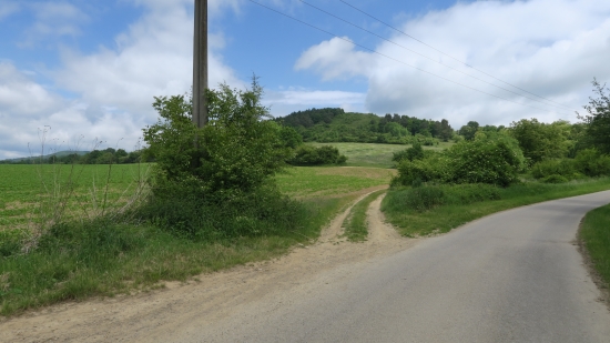Predaj, orná pôda   3203 m2 Beluša - EXKLUZÍVNE HALO REALITY