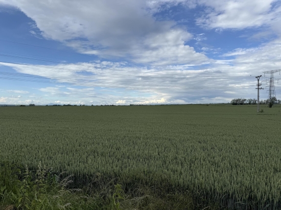Predaj, pozemok   2877 m2 Hul, trvalý trávny porast - EXKLUZÍVNE HALO REALITY