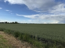 HALO reality | Predaj, orná pôda   2500 m2 Hul - EXKLUZÍVNE HALO REALITY