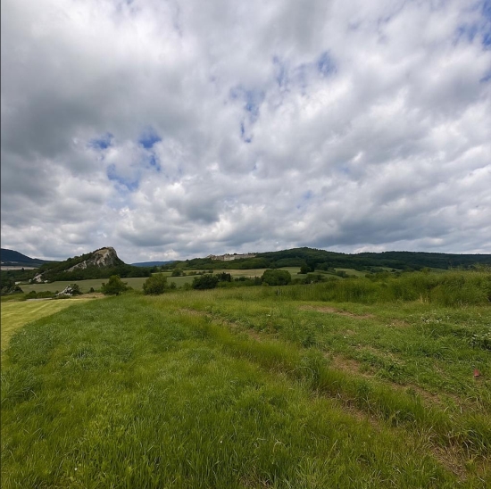 Predaj, pozemok pre rodinný dom   1350 m2 Trstín