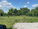 HALO reality | Predaj, pozemok pre rodinný dom   1619 m2 Sládkovičovo - EXKLUZÍVNE HALO REALITY
