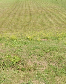 Predaj, pozemok pre rodinný dom   800 m2 Komárov
