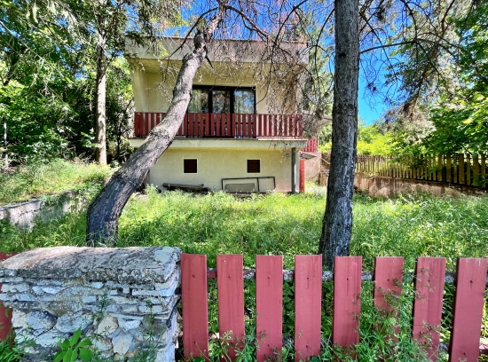 Predaj, rekreačný pozemok Levice, Kalinčiakovo, s murovaným viničným domom s klenbovou pivnicou, krásne miesto pre relax - EXKLUZÍVNE HALO REALITY