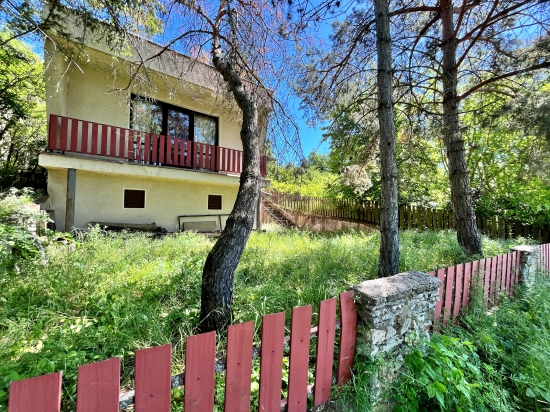 Predaj, rekreačný pozemok Levice, Kalinčiakovo, s murovaným viničným domom s klenbovou pivnicou, krásne miesto pre relax - EXKLUZÍVNE HALO REALITY