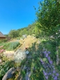 HALO reality | Predaj, pozemok pre rodinný dom   1657 m2 Pitelová, s krásnym výhľadom  - EXKLUZÍVNE HALO REALITY