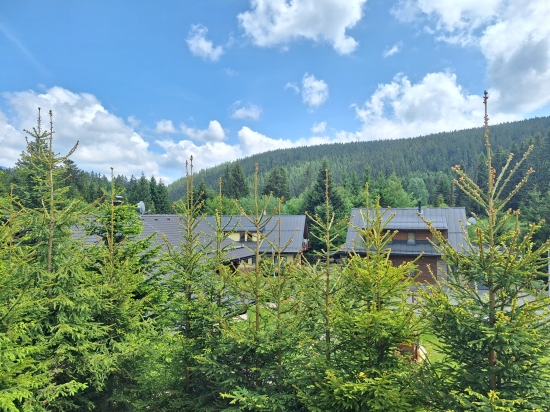 Predaj, dvojizbový byt Donovaly, Skalka - EXKLUZÍVNE HALO REALITY