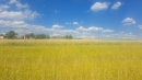 HALO reality | Predaj, pozemok pre rodinný dom   3868 m2 Krupina - EXKLUZÍVNE HALO REALITY