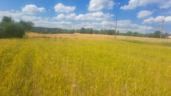 Predaj, pozemok pre rodinný dom   3868 m2 Krupina - EXKLUZÍVNE HALO REALITY