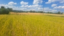 HALO reality | Predaj, pozemok pre rodinný dom   3868 m2 Krupina - EXKLUZÍVNE HALO REALITY