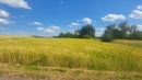 HALO reality | Predaj, pozemok pre rodinný dom   3868 m2 Krupina - EXKLUZÍVNE HALO REALITY