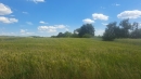HALO reality | Predaj, pozemok pre rodinný dom   3868 m2 Krupina - EXKLUZÍVNE HALO REALITY
