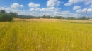 HALO reality | Predaj, pozemok pre rodinný dom   3868 m2 Krupina - EXKLUZÍVNE HALO REALITY