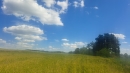HALO reality | Predaj, pozemok pre rodinný dom   3868 m2 Krupina - EXKLUZÍVNE HALO REALITY