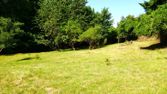 Predaj, pozemok pre rodinný dom  1000 m2 Pernek - EXKLUZÍVNE HALO REALITY
