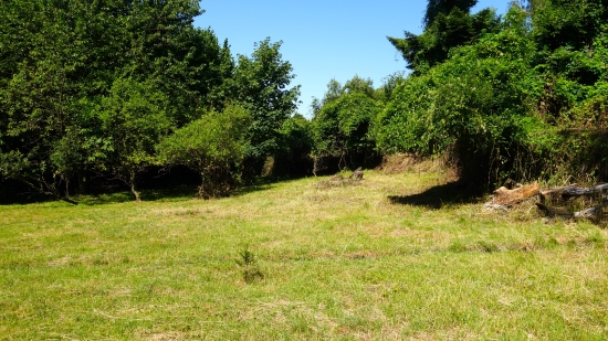 Predaj, pozemok pre rodinný dom  1000 m2 Pernek - EXKLUZÍVNE HALO REALITY